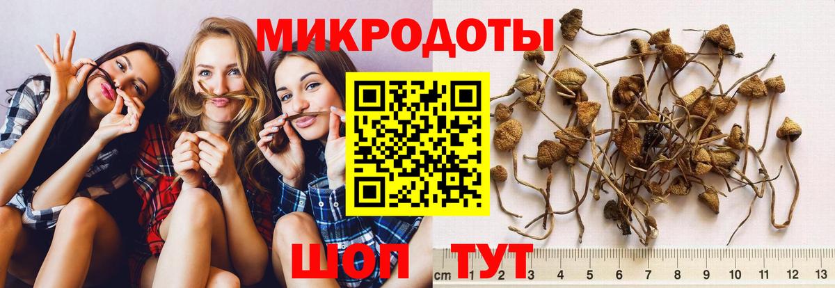 Псилоцибиновые грибы Magic Shrooms  Вход с VPN  Новомосковск 
