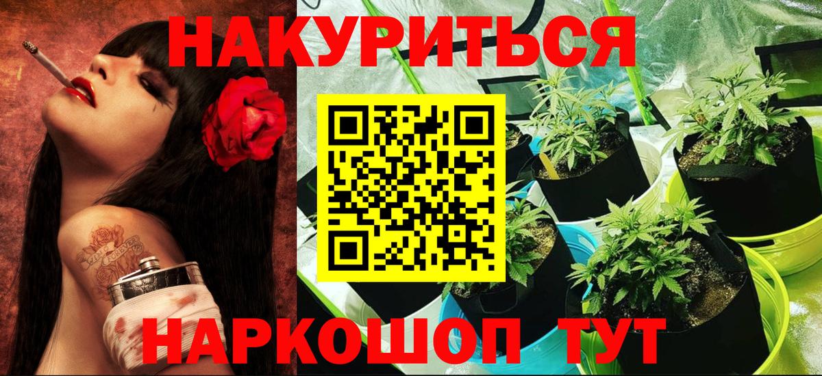 ГАШ Новомосковск